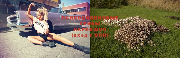 шишки Верхнеуральск