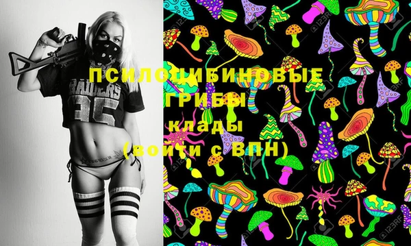 мдпв Семилуки