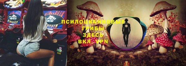 прущие крисы Верея