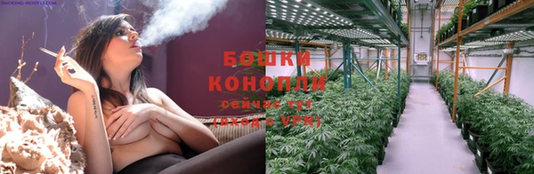 прущие крисы Верея
