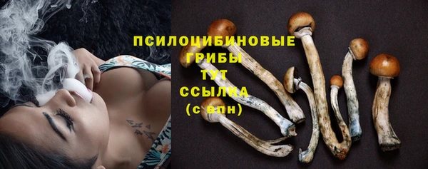 синтетический гашиш Бородино