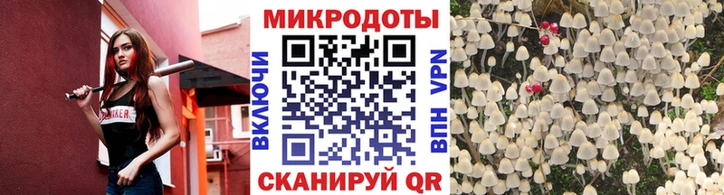 купить  цена  Галич  Псилоцибиновые грибы Psilocybe 
